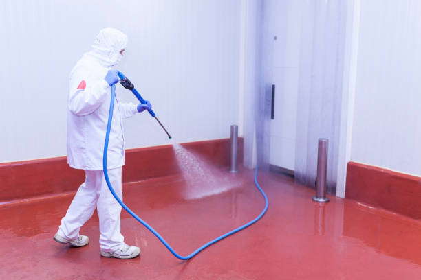 Pre-Holiday Cleaning in East Dubuque, IL