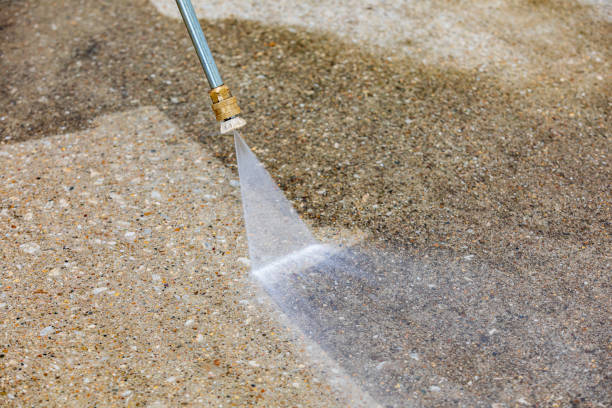 Best Sidewalk and Walkway Cleaning  in East Dubuque, IL